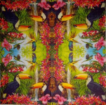 062 Parrot - 1-ply - Soft Touch - CS
